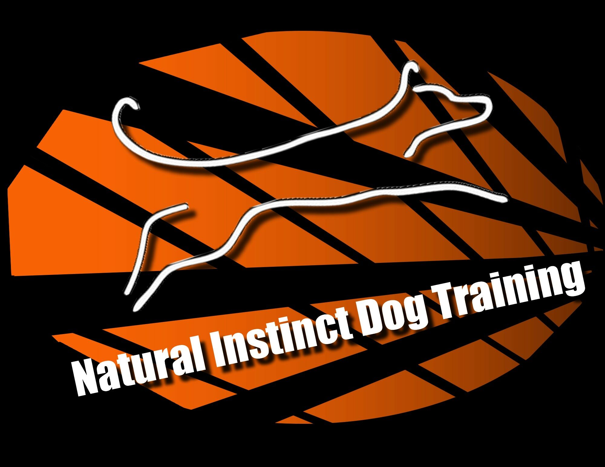 Natural Instinct Dog Training